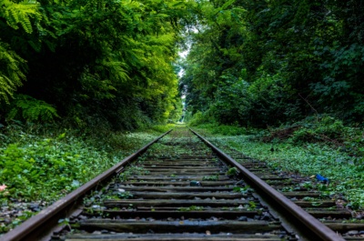 Will the green shoots of recovery be green at all?