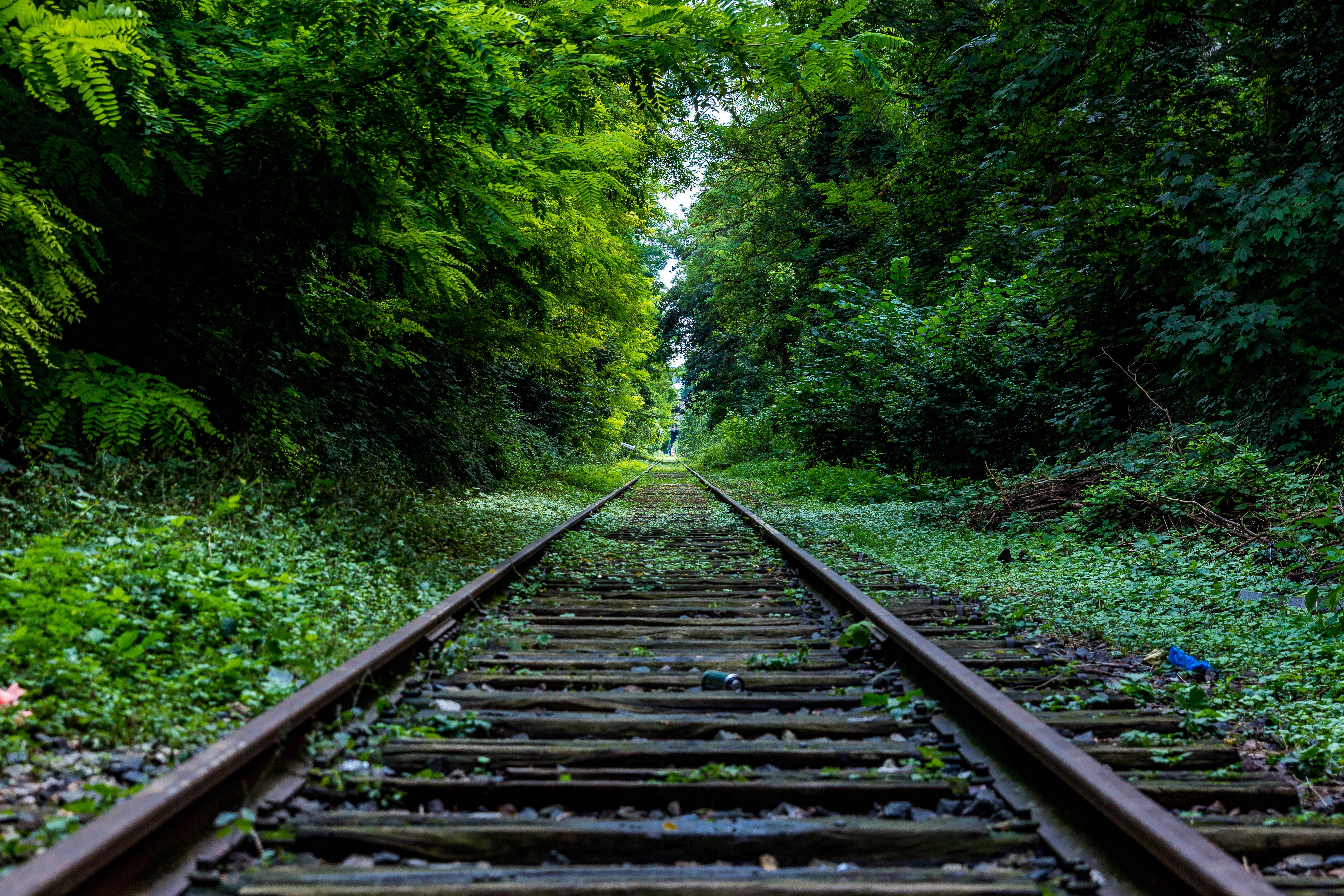 Will the green shoots of recovery be green at all?