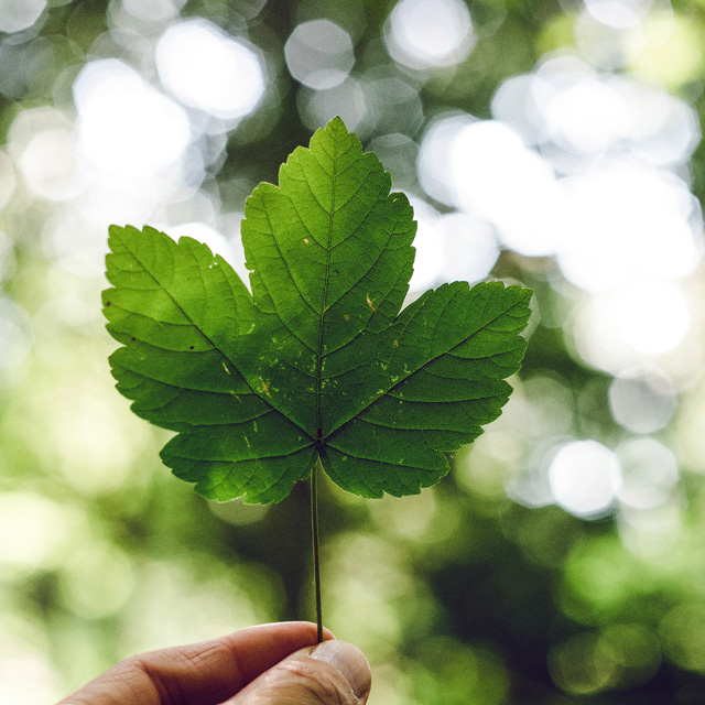 Fund managers, don’t risk it all on your approach to ESG