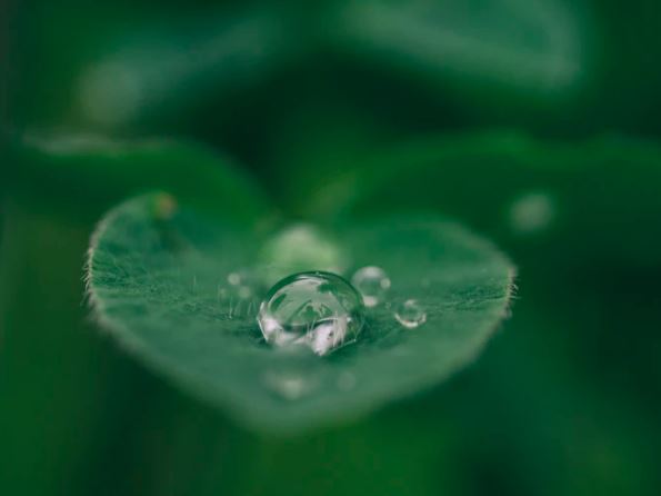 Three green policy changes you need to know about