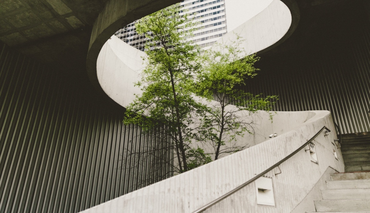 Social licence could be the victim of a war on net zero