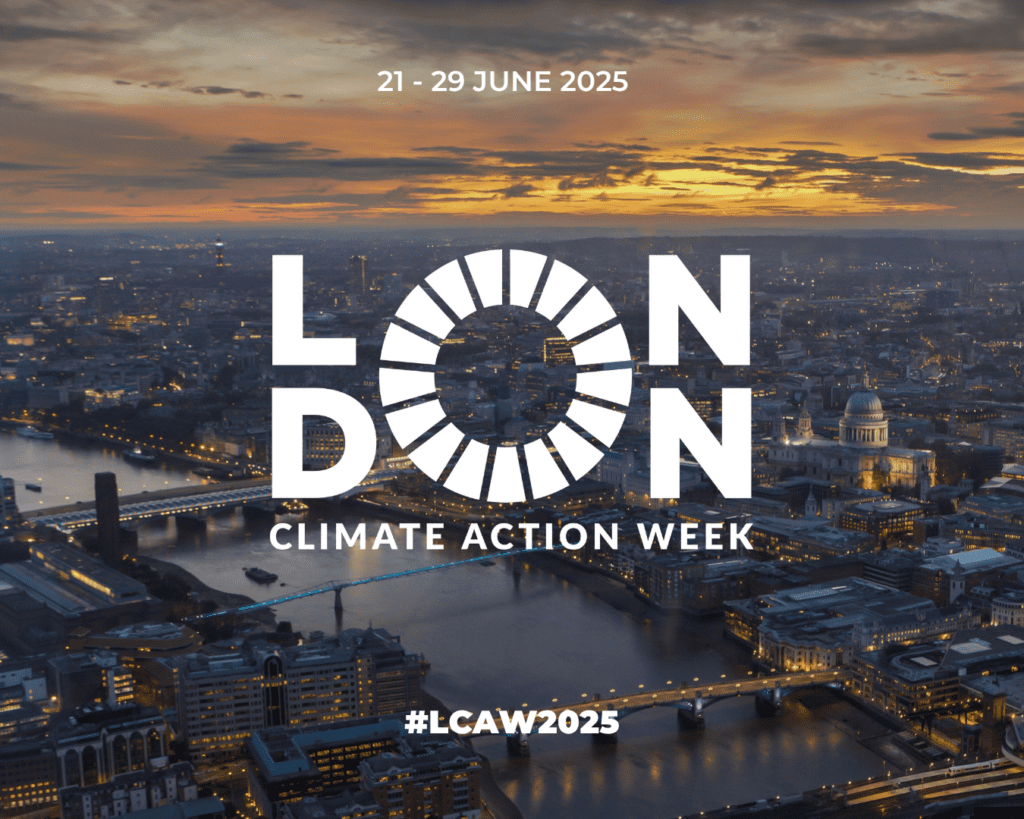 Don’t Tell Me Climate Action Isn’t Happening