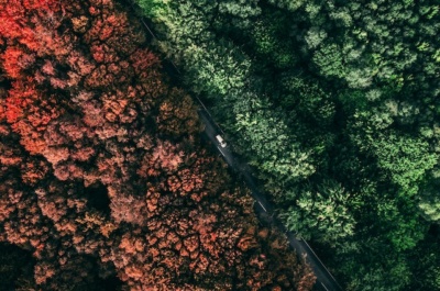 Sustainability Talks: Interview with George Marshall