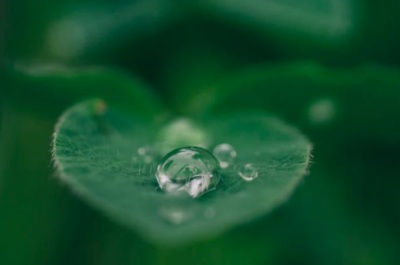 Three green policy changes you need to know about