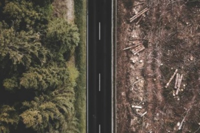 Has the latest climate change science set your Sustainability plan on fire?