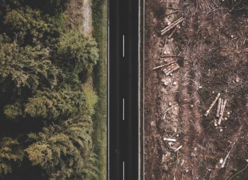 Has the latest climate change science set your Sustainability plan on fire?