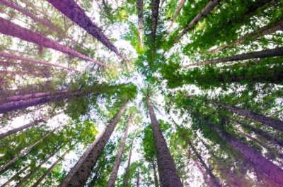 Rethinking the future for ESG through the lens of sustainability 