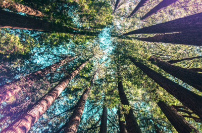 Sustainability, made for tough times 