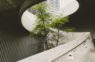 Social licence could be the victim of a war on net zero