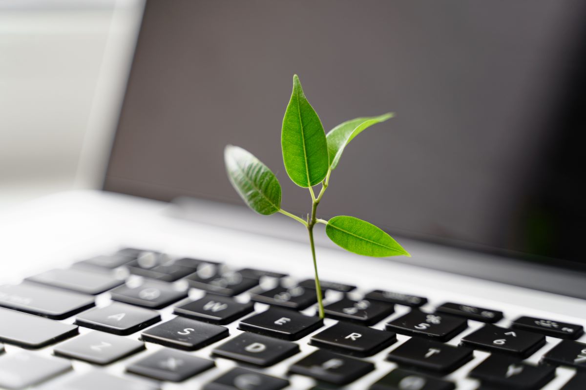 What you need to know about Climate Transition Plans