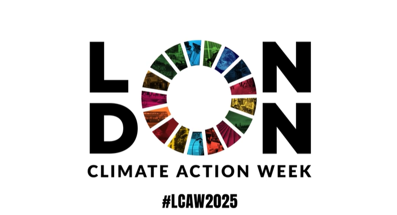 Don’t Tell Me Climate Action Isn’t Happening