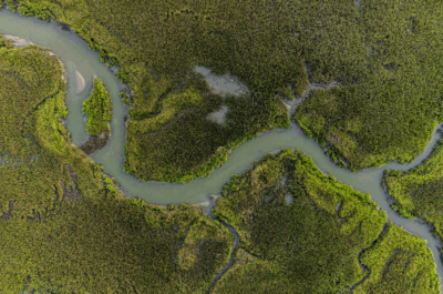 COP30 and the next phase of climate action: What Belém teaches us about the decade ahead