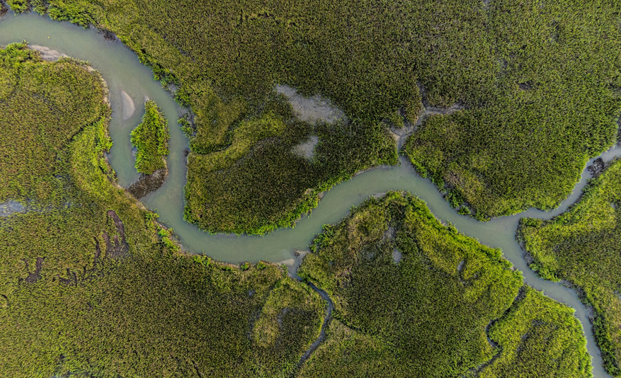 COP30 and the next phase of climate action: What Belém teaches us about the decade ahead